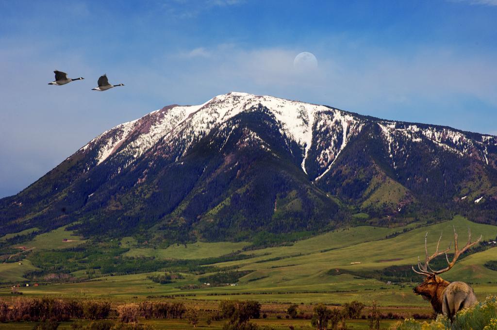 The Historic Elk Mountain Hotel ภายนอก รูปภาพ